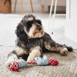 Disney Store Jouet à Mâcher Les 101 Dalmatiens Pour Chiens -Disney 465042418341 1