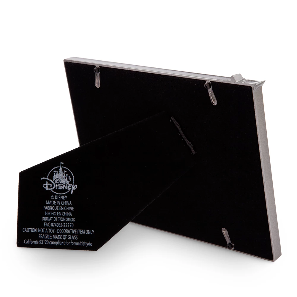 Disneyland Resort Cadre Photo Disney100 Celebration 5 Disneyland Resort Cadre Photo Disney100 Celebration – Image 3