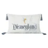 Disneyland Resort Coussin Disney100 Celebration 1 Disneyland Resort Coussin Disney100 Celebration -Disney 465043583154