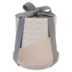 Disneyland Pot De Fleur Mickey Mouse Homestead 9 Disneyland Pot De Fleur Mickey Mouse Homestead -Disney 465043672339 3