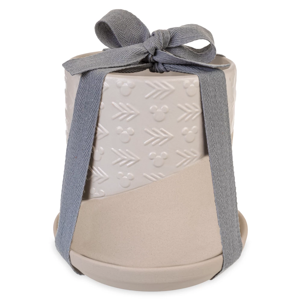 Disneyland Pot De Fleur Mickey Mouse Homestead 6 Disneyland Pot De Fleur Mickey Mouse Homestead – Image 4